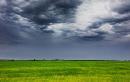 Traiter en tenant compte du vent