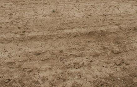 Toutatis® Damtec® + Bastille® : un désherbage complet en un seul passage