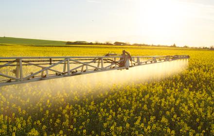 Combiner performance et biocontrôle en colza, maintenant vous pouvez
