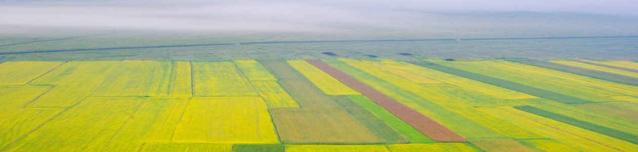 Herbicides sur autres grandes cultures