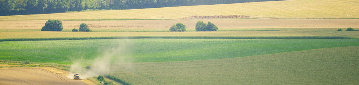 Tous les produits phytosanitaires sur Grandes…