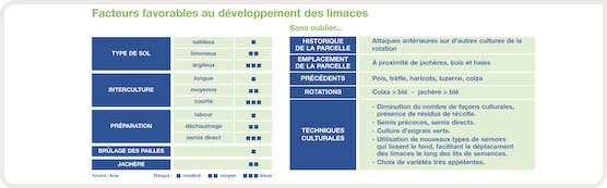 Facteurs favorables au développement des limaces