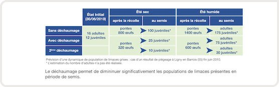 Influence du climat et du travail mécanique du sol sur les populations de limaces en intercultures