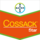 Cossack® Star