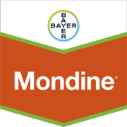 Mondine®