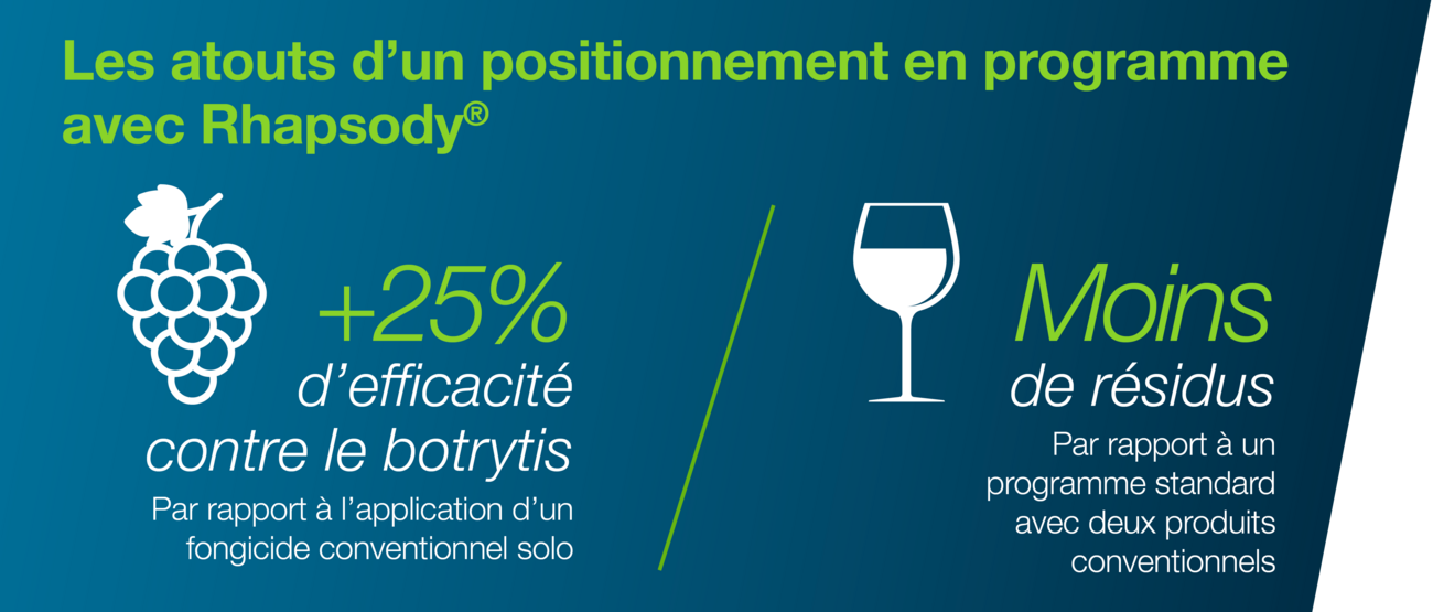 Infographie sur le positionnement du produit Rhapsody sur le botrytis de la vigne