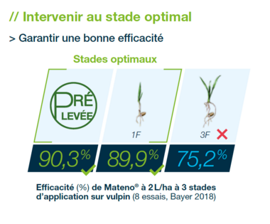 Comment pérenniser l’efficacité du flufénacet et préserver la ressource en eau ?