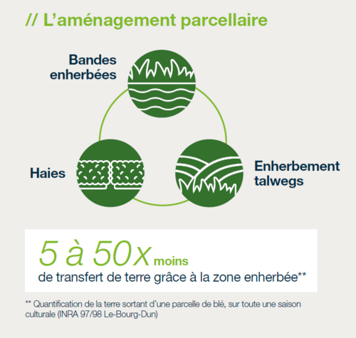 Comment pérenniser l’efficacité du flufénacet et préserver la ressource en eau ?