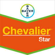 Chevalier® Star