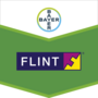 Flint®
