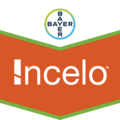 Incelo®