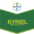 Kyriel®