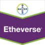 Ethéverse®