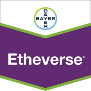Ethéverse®