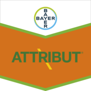Attribut®