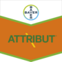 Attribut®