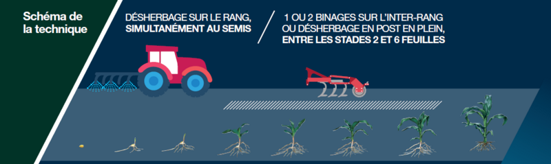 Désherbant : définition et explications