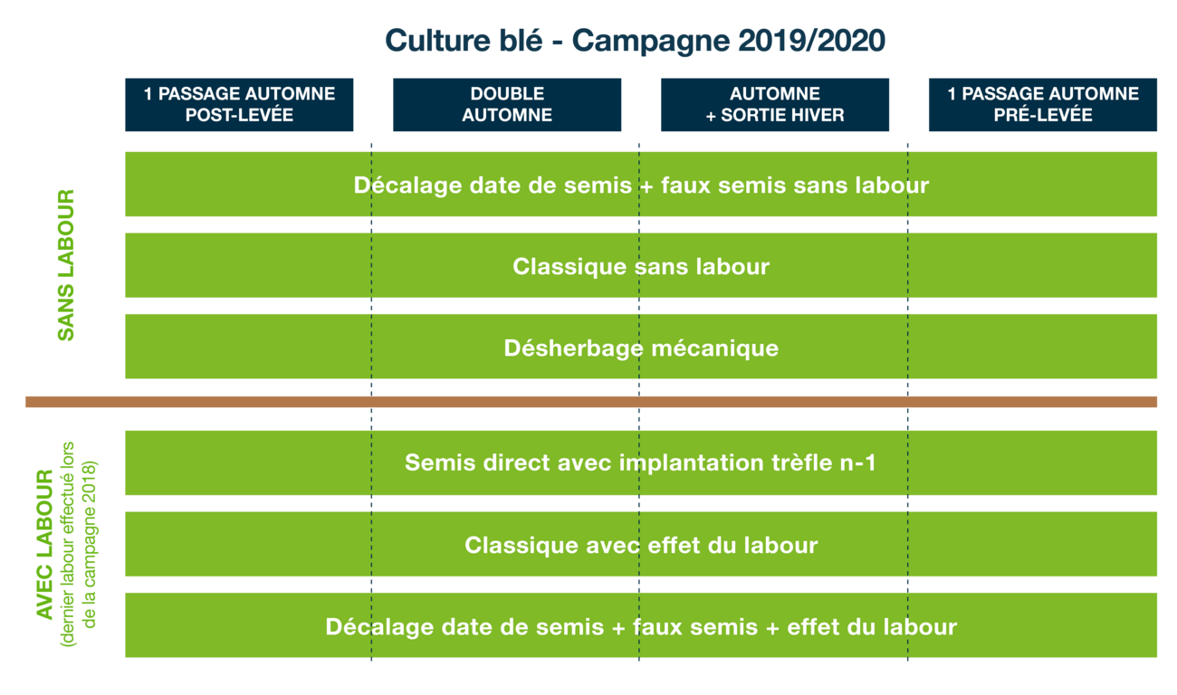 Infographie présentant le plan de la plateforme d'essais sur blé et les différents itinéraires techniques testés