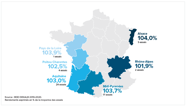 Le maïs tardif DKC5812 va chercher les quintaux, en toutes terres 