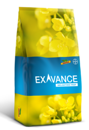 EXAVANCE_