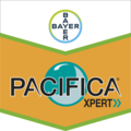 Pacifica® Xpert