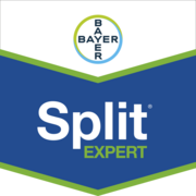 Split® Expert