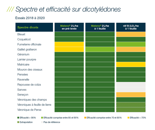 spectre d'efficacité sur dicotylédones où Mateno est le plus performant