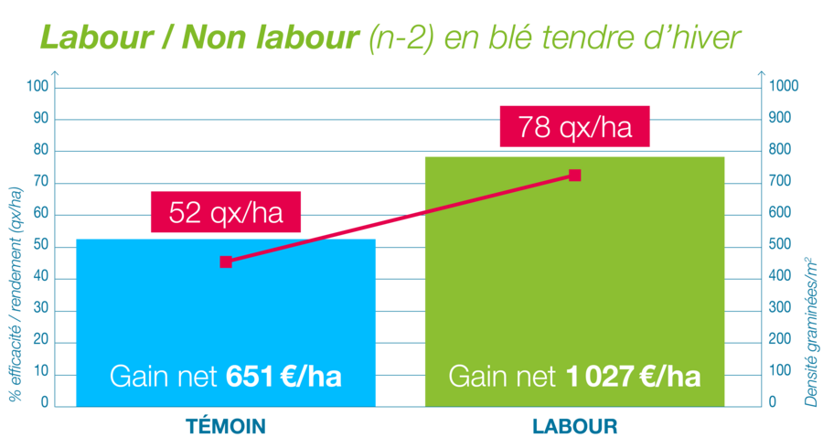 Histogramme montrant la différence d'efficacité et de rendement en gain net entre témoin non labour et labour N-2 sur blé tendre d'hiver