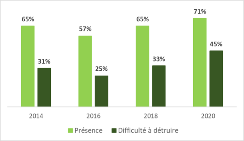 Classement des adventices de la betterave les plus fréquentes : Bayer-Agri, conseils phyto 