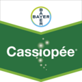Cassiopée®