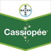 Cassiopée®