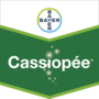 Cassiopée®