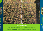 Diaporama comparant des résultats de désherbage sur adventices céréales entre un terrage superficel et un terrage classique, ainsi qu'entre des pluies simulées et des pluies naturelles