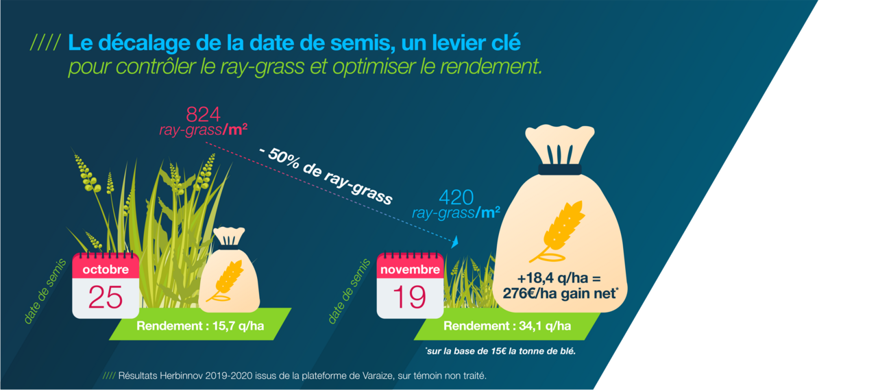 graphique présentant les bénéfices du décalage de la date de semis sur la plateforme Herbinnov de Varaize et montrant que cela a permis de diminuer le nombre de ray-grass au m2 de près de 50% et et d'optimiser le rendement (+ 18,4 q/ha et 276 €/ha gain net)