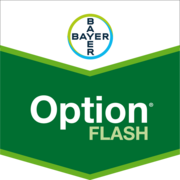 Option® Flash