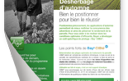 Désherbage d’automne