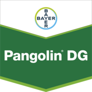 Pangolin® DG