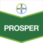 Prosper®