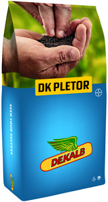 DK PLETOR