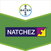 Natchez®