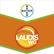 Laudis® WG
