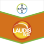 Laudis® WG