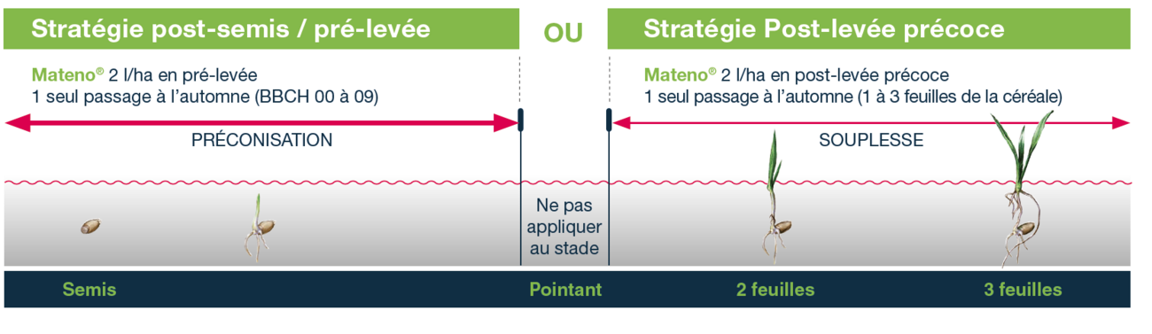 graphique montrant la stratégie de positionnement de Maténo en post-semis / pré-levéé ou post-levée précoce