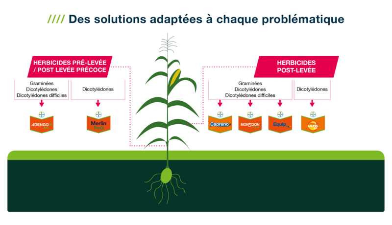 Des solutions adaptées à chaque problématique de désherbage,  de la pré-levée jusqu’à la post-levée