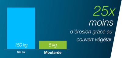 le schéma comparatif entre un sol nu et un sol avec couvert végétal de moutarde, montre qu’un couvert végétal permet de protéger le sol de l’impact de la pluie et contribue au désherbage durable de printemps