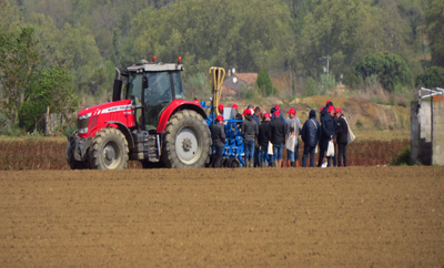 Semis sous couvert et passage du strip till