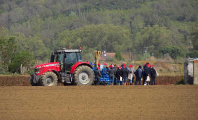 Semis sous couvert et passage du strip till