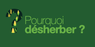 Dossier d'expertise : pour un désherbage efficace et durable dans la rotation