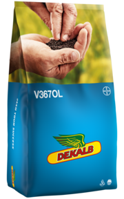V367OL