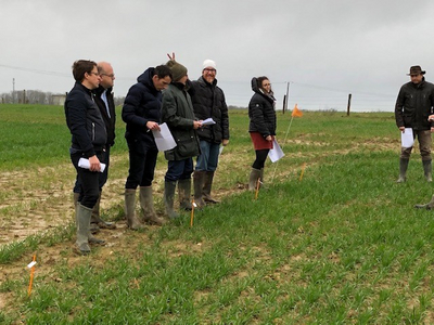 7 personnes membres de l'équipe de la plateforme Herbinnov Est